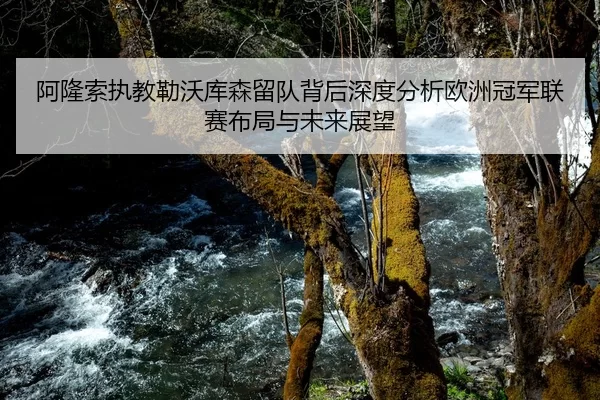 阿隆索执教勒沃库森留队背后深度分析欧洲冠军联赛布局与未来展望