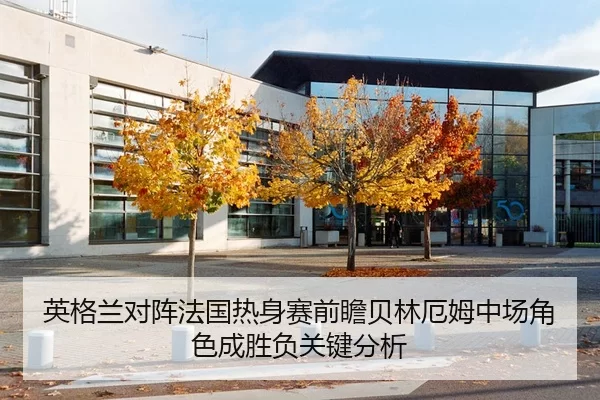 英格兰对阵法国热身赛前瞻贝林厄姆中场角色成胜负关键分析