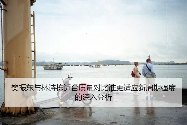 樊振东与林诗栋近台质量对比谁更适应新周期强度的深入分析