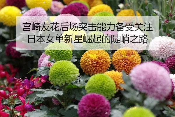 宫崎友花后场突击能力备受关注 日本女单新星崛起的陡峭之路