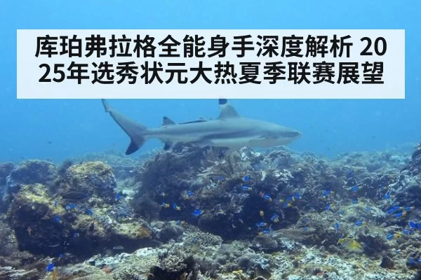 库珀弗拉格全能身手深度解析 2025年选秀状元大热夏季联赛展望